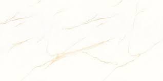 WL Prime Pro 600x1200